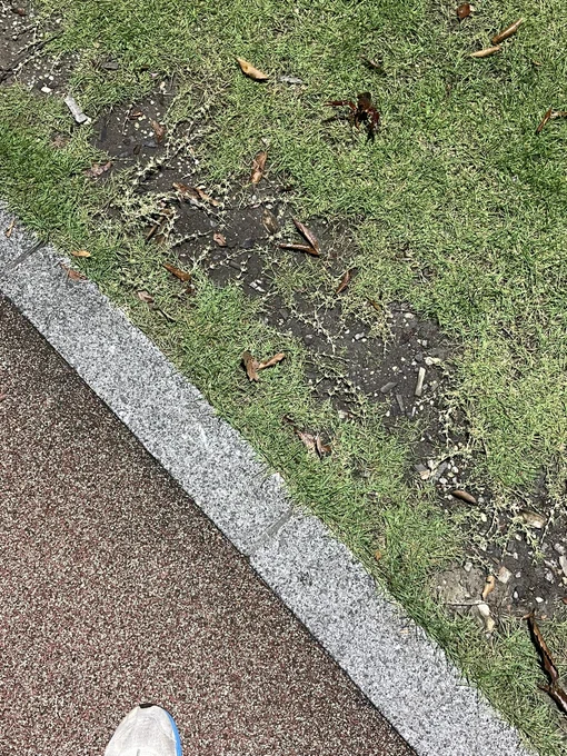 なんで? 
