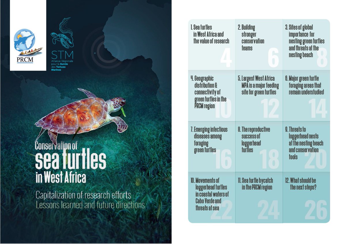 We did this super cool booklet to broadly share research results on #seaturtles 🌊🐢in West Africa @prcmarine @ispa design: Régis L'Hostis with @FMB_CaboVerde and BiosCV, and many more: @ibapgbissau @PNBancarguin @rampao_network @MavaFdn @MARE_centre @ExeterMarine