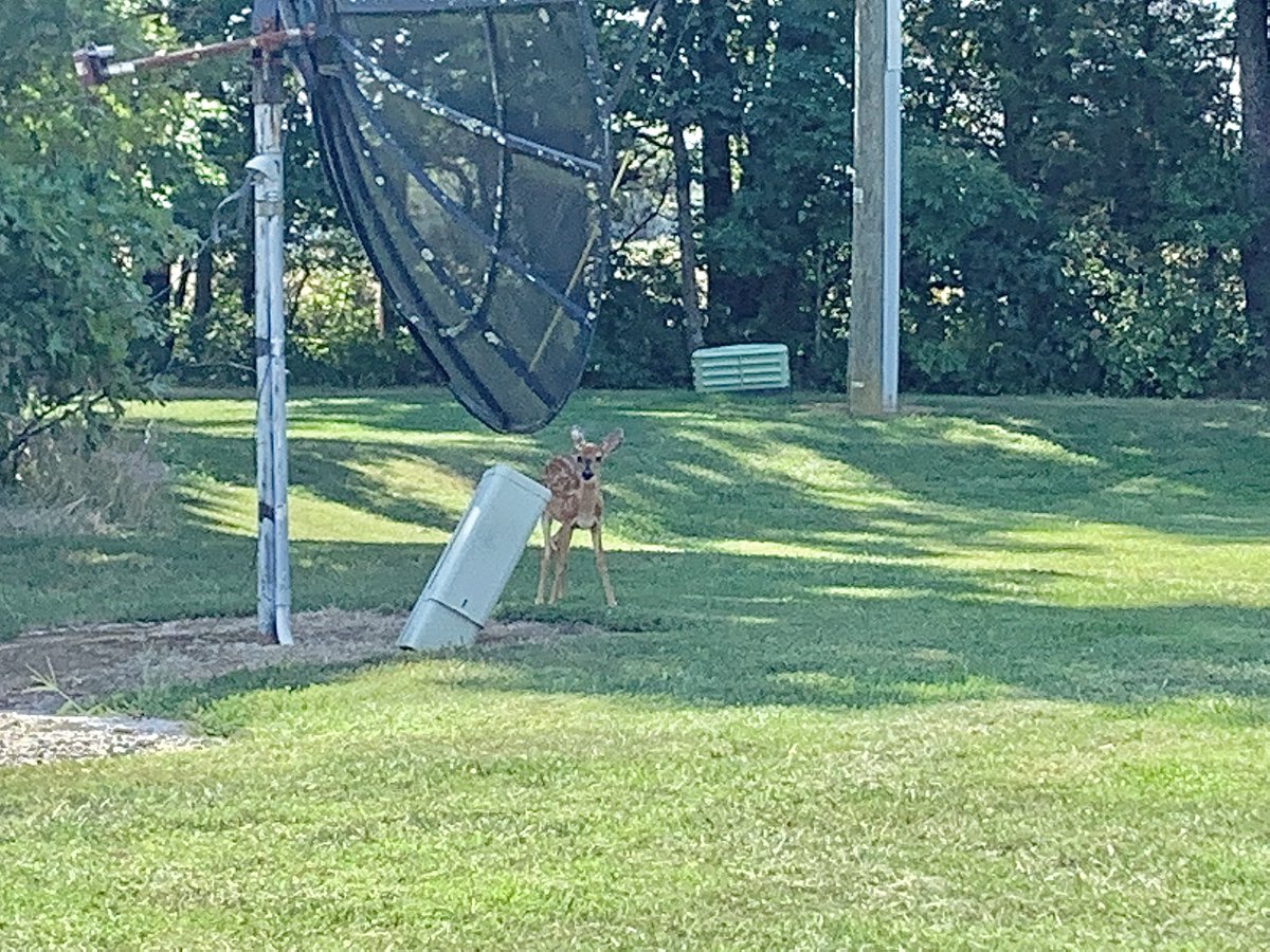 Two last minute additions to the #CadetProgram 🦌