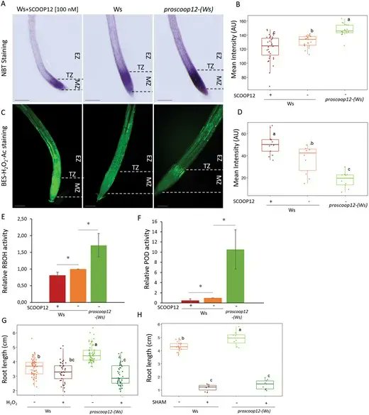 JXB @jxbotany.bsky.social tweet media