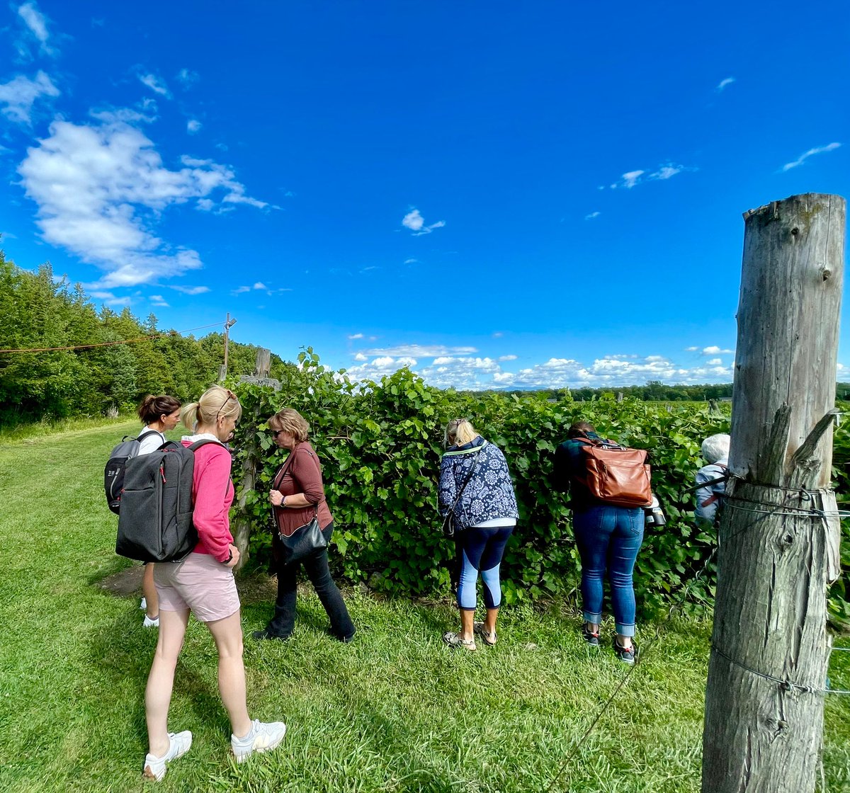 Beautiful Vermont you have inspired us all. @iwavermont
Fantastic vineyard tour yesterday in the glorious sunshine.
<a href="/CasMillar/">Caroline Millar</a> <a href="/FionaFearnfarm/">Fiona Scott</a>