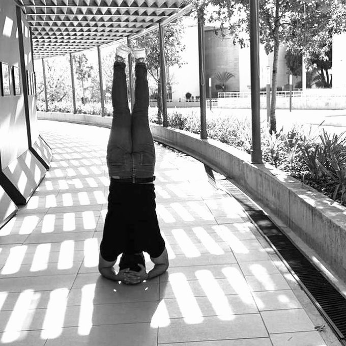#TBT urban yoga 🦁 https://t.co/yXIlxvJzny<a href="/tag/tbt"class="tags">#TBT</a>