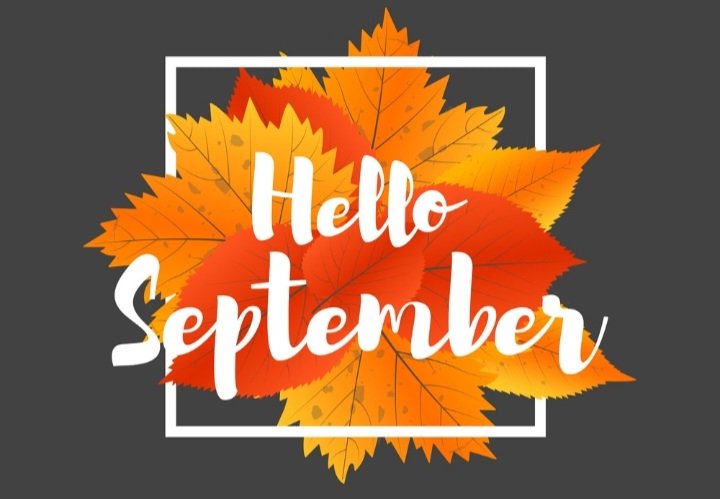 ChanelleLenton's tweet photo. Hello September 🧡 https://t.co/SHPnVM3Db2