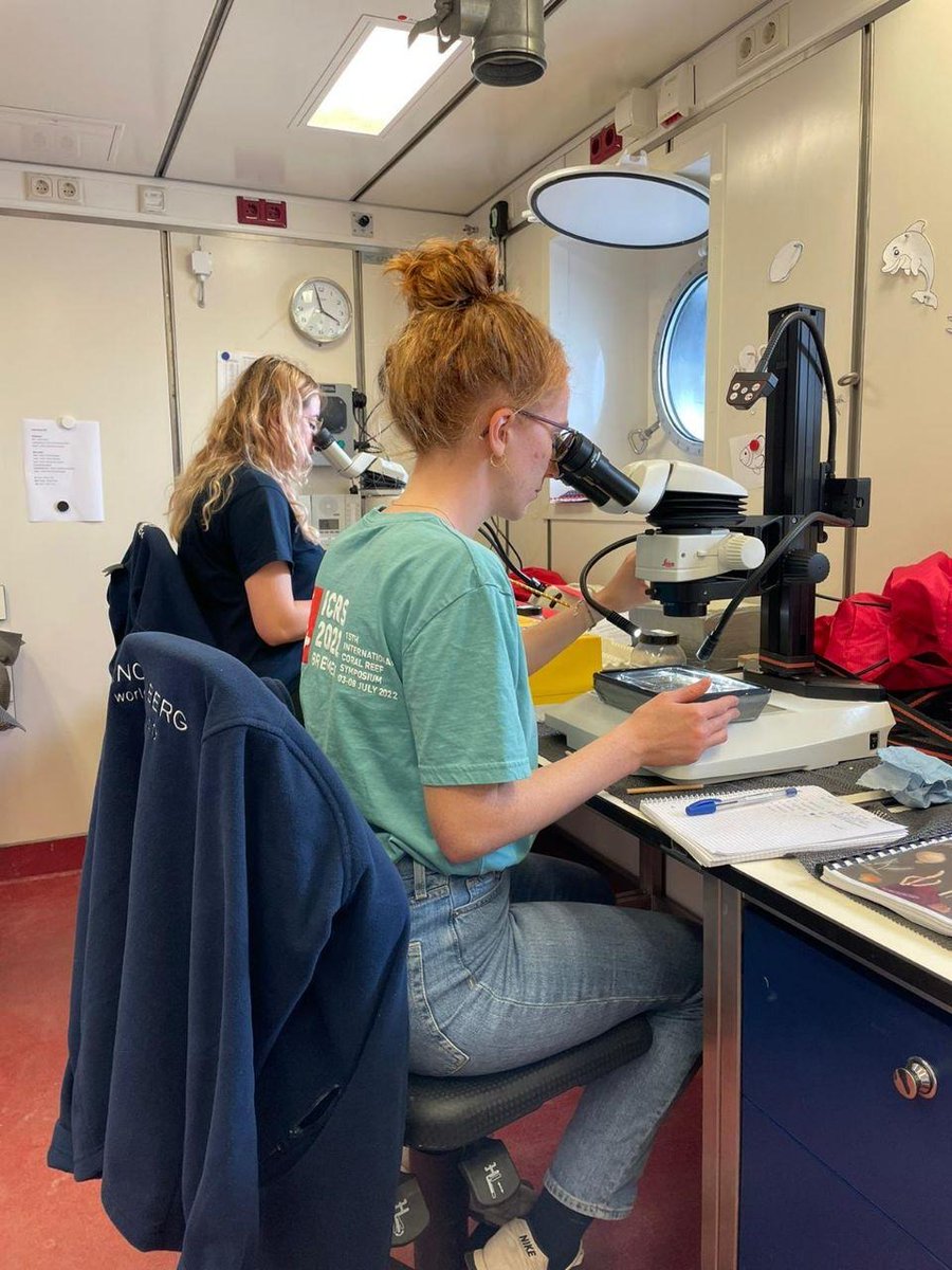 Senckenberg's tweet photo. Was haben die Forscher*innen der #AleutBio -Expedition heute im Netz? 🐠🦀 Katharina Kohlenbach und viele weitere nehmen euch täglich mit auf das Forschungsschiff SONNE und geben spannende Einblicke in ihren Alltag: https://t.co/6tGGlj0JUt 👈
©️Henry Knauber/Kamila Gluchowska https://t.co/R1jAnVH5fJ