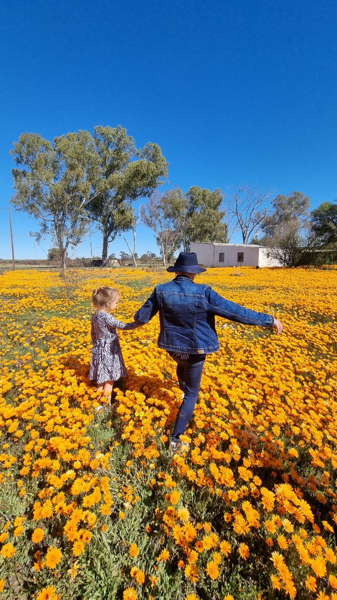 The flowers is Stunning in the Weskus! Check out the latest flower report here!! bit.ly/3R5EzMd