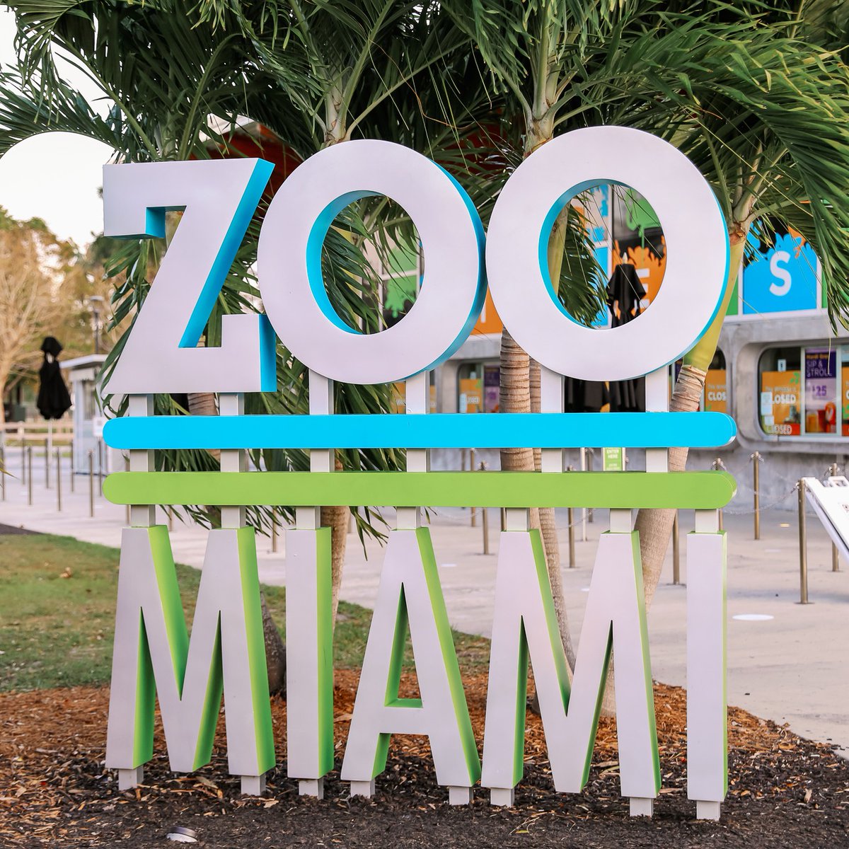 zoomiami's tweet photo. The year marks the 25th year anniversary of the Zoo Miami Wildlife Conservation Fund awarding grants to individuals, governments, and non-profits locally and internationally! See grant winners here:https://t.co/1zh6E44sJR https://t.co/UABnFSrBqI