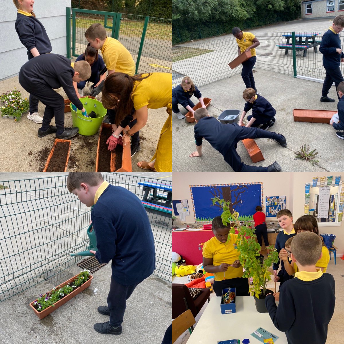 siologaStCon's tweet photo. Great first day back at school #flowerboxes #gettoknowmesculptures #saycheese @ConlethSt https://t.co/AJ4FABiPfZ