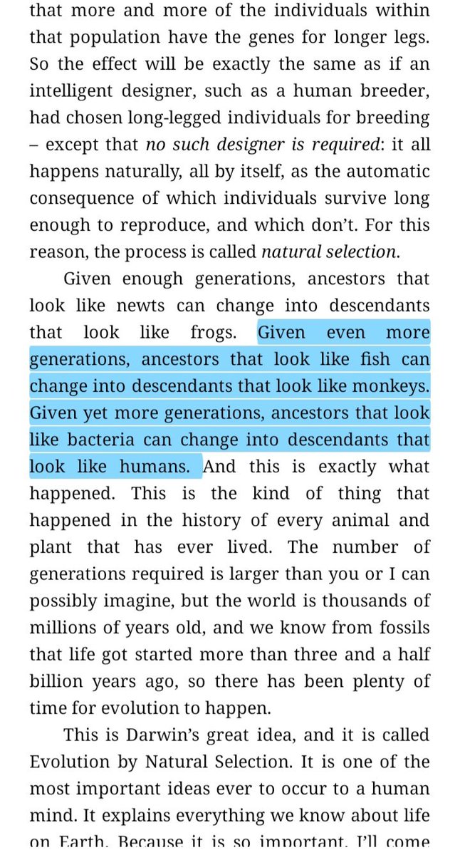 The Atheist creation myth: 'Given even more generations, ancestors that look like fish can change into descendants that look like monkeys. Given yet more generations, ancestors that look like bacteria can change into descendants that look like humans.' Richard Dawkins.
