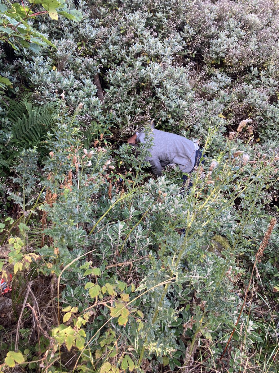 Royal_High_Sch's tweet photo. We got a wee clue recently as to where one of our RHS historical mysteries might be hiding. Can you guess what we are looking for? More to follow β¦.#secretgrotto #RHS900th https://t.co/t9GbCoURFI