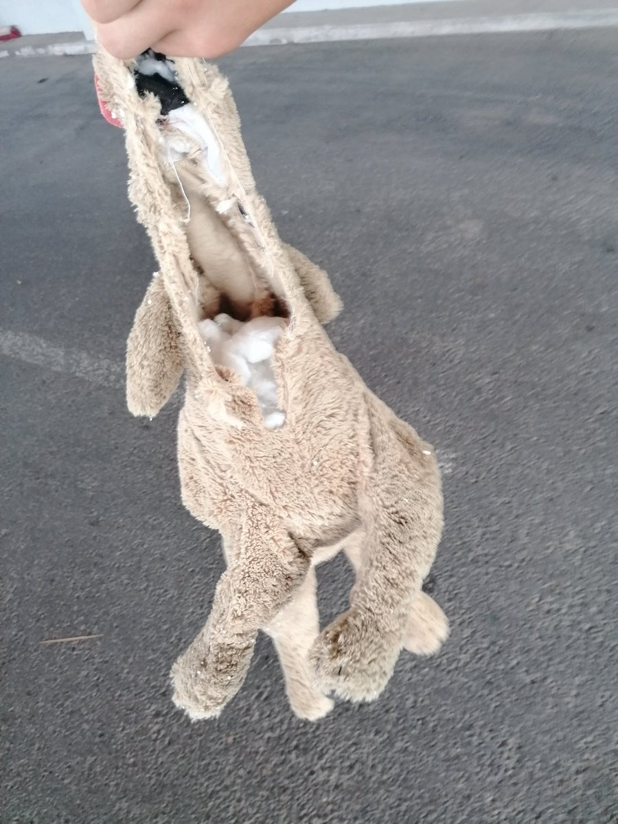 🤗🍆💦🐶Armer armer Plüschhund🐶
 Er ist geritten,gefickt, vollgewixxt,Zerrissen,ohne Füllung,stark benutzt.Was soll mit ihm passieren er ist einfach mega geil zum benutzen und verträgt ordentlich was.Der was bitte Ideen oder fragen hat bitte mir gern privat schreiben. LG 😎