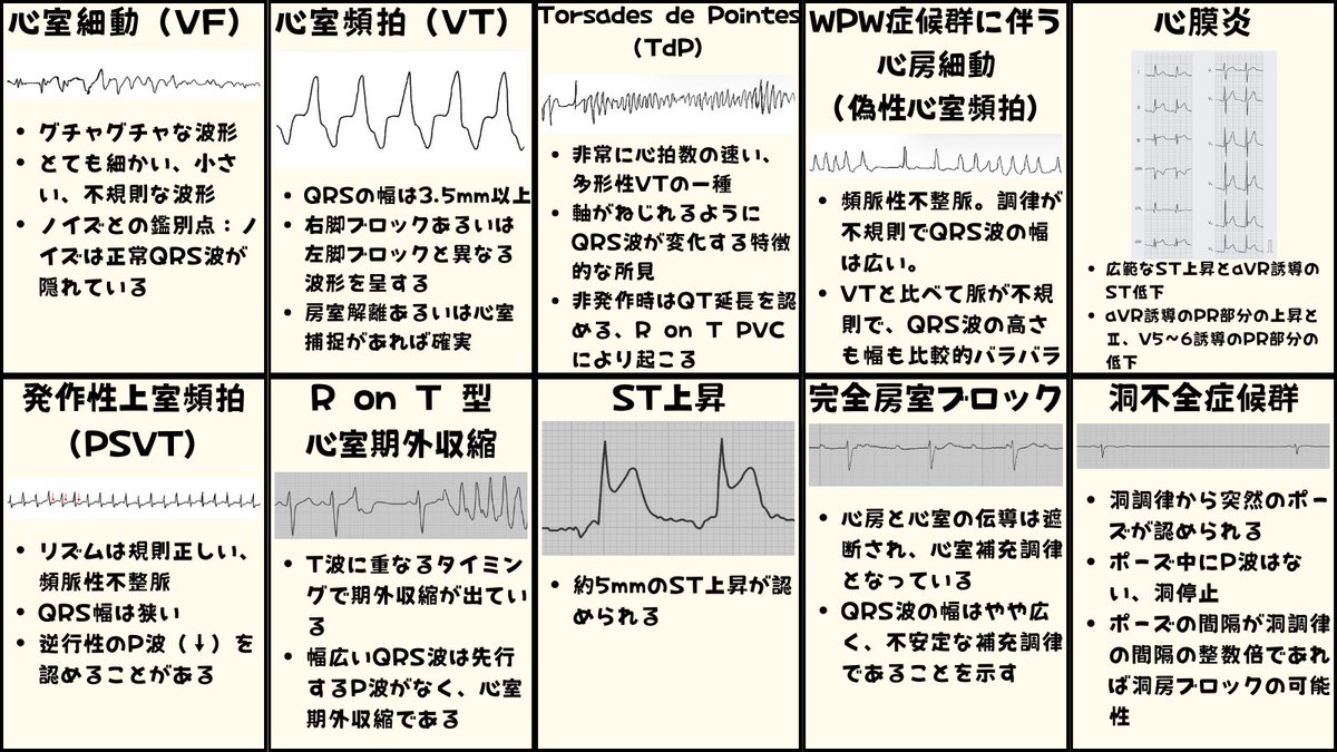 心電図くま | ECG KUMA tweet media