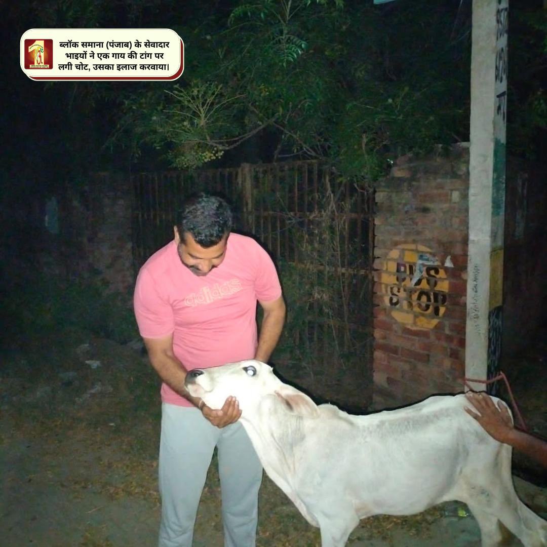 DSSNewsUpdates's tweet photo. With spirit to serve even the mute creatures, #DeraSachaSauda volunteers aided the treatment of an injured cow's wounds. Thanks to the teachings of Saint Dr. @GurmeetRamRahim Singh Ji Insan that keep DSS volunteers boosted to save all creatures. https://t.co/Wm6hVSywvJ