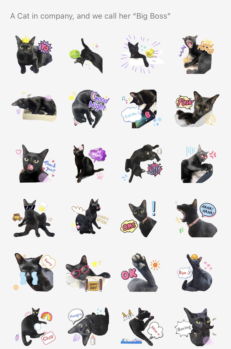 JeerasBlog's tweet image. #แมวออฟฟิศ 
อยู่ด้วยกันมามาก มีเรื่องเล่า รูปถ่ายมากมาย จนกลายมาเป็น สติ๊กเกอร์ไลน์ 

นอกจากรักแมวแล้ว ฉันยังรักตัวเองมากขึ้น และอยากพัฒนาตัวเองให้ทำอะไรได้ดียิ่งขึ้นไปอีก

อยากอุดหนุนยังไง ก็ลิ้งก์นี้ได้เลยนะคะ &amp;gt;&amp;gt; [Big Boss Cat]
line.me/S/sticker/2060…

#JeerasBlog #ทาสแมว