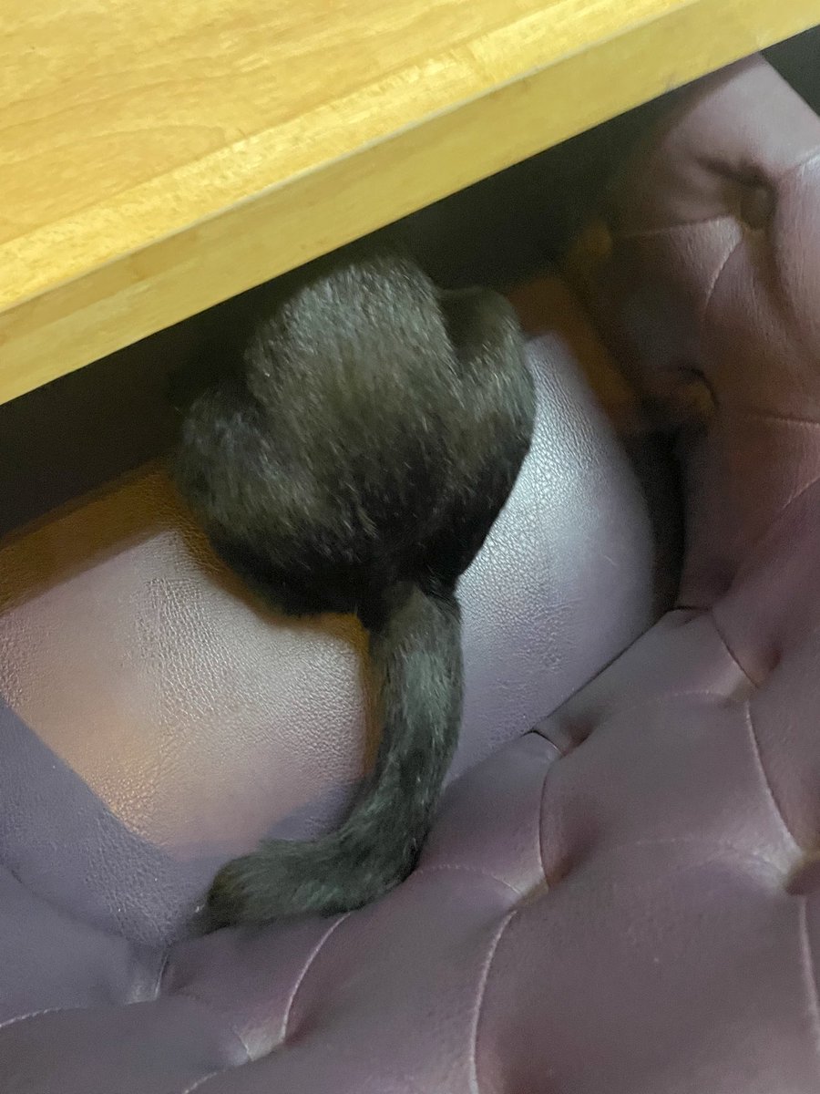 JeerasBlog's tweet image. #แมวออฟฟิศ 
อยู่ด้วยกันมามาก มีเรื่องเล่า รูปถ่ายมากมาย จนกลายมาเป็น สติ๊กเกอร์ไลน์ 

นอกจากรักแมวแล้ว ฉันยังรักตัวเองมากขึ้น และอยากพัฒนาตัวเองให้ทำอะไรได้ดียิ่งขึ้นไปอีก

อยากอุดหนุนยังไง ก็ลิ้งก์นี้ได้เลยนะคะ &amp;gt;&amp;gt; [Big Boss Cat]
line.me/S/sticker/2060…

#JeerasBlog #ทาสแมว