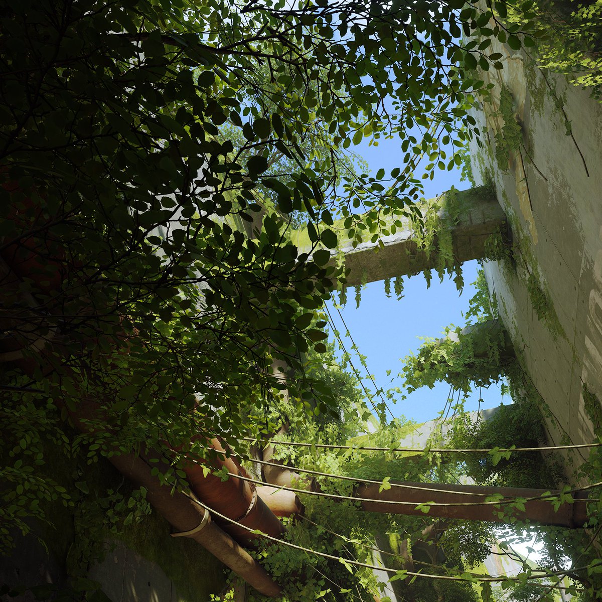 Blaise Deville tweet media