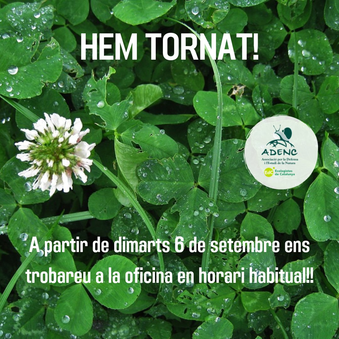 Adenc1982's tweet photo. Tornem de vacances amb molta energia per encarar els nou curs! 🌳🌿
A l'@Adenc1982 continuem treballant per la defensa del territori i us animem a fer-ho amb nosaltres!💪
#ADENC #EcologismeLocal #EducacioAmbiental #DefensaAmbiental #DefensaDelTerritori #SOSValles https://t.co/krDWg1fZ8I