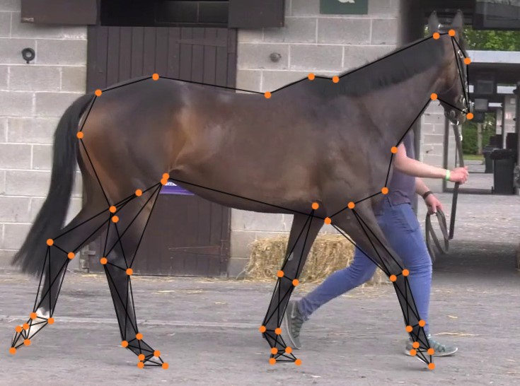 TrojanTrack tweet media