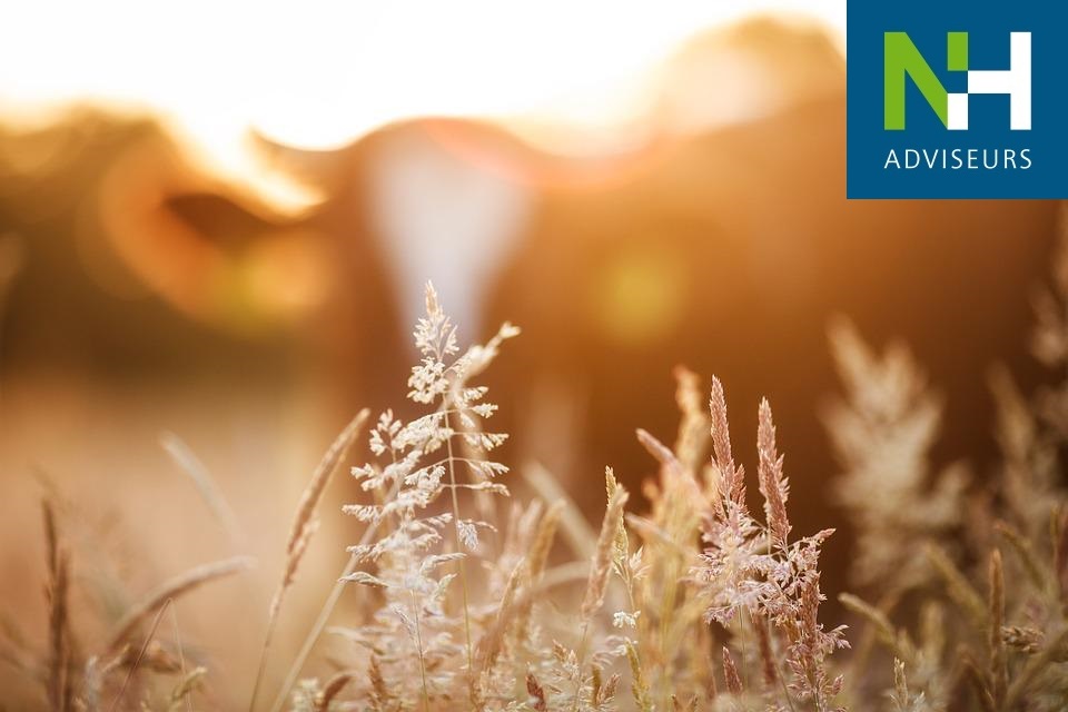 Benieuwd naar de huidige status inzake de MGA-2 en de LBV? Klik dan verder: nhadviseurs.nl/media/update-v…

#MGA2 #LBV #NHAdviseurs