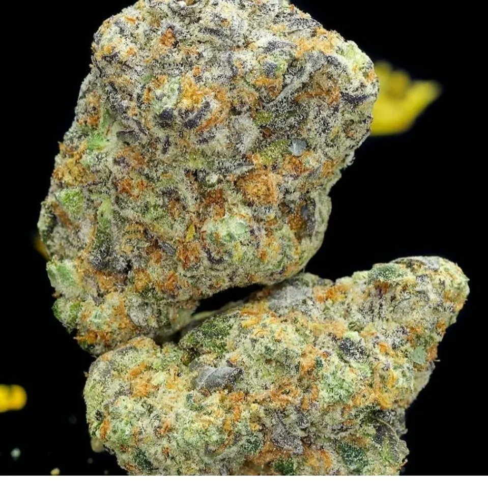 ReLeaf19's tweet photo. The Game is Over.🥳🥳
Get ur sunglasses out @little_cbd
@DHEMPSHOP1 the light at end of the tunnel is so bright .🌞
 Big News loading 
#cbdlaw #cannabisreformireland 
#enoughisenough #cbdireland https://t.co/852amdqd2A