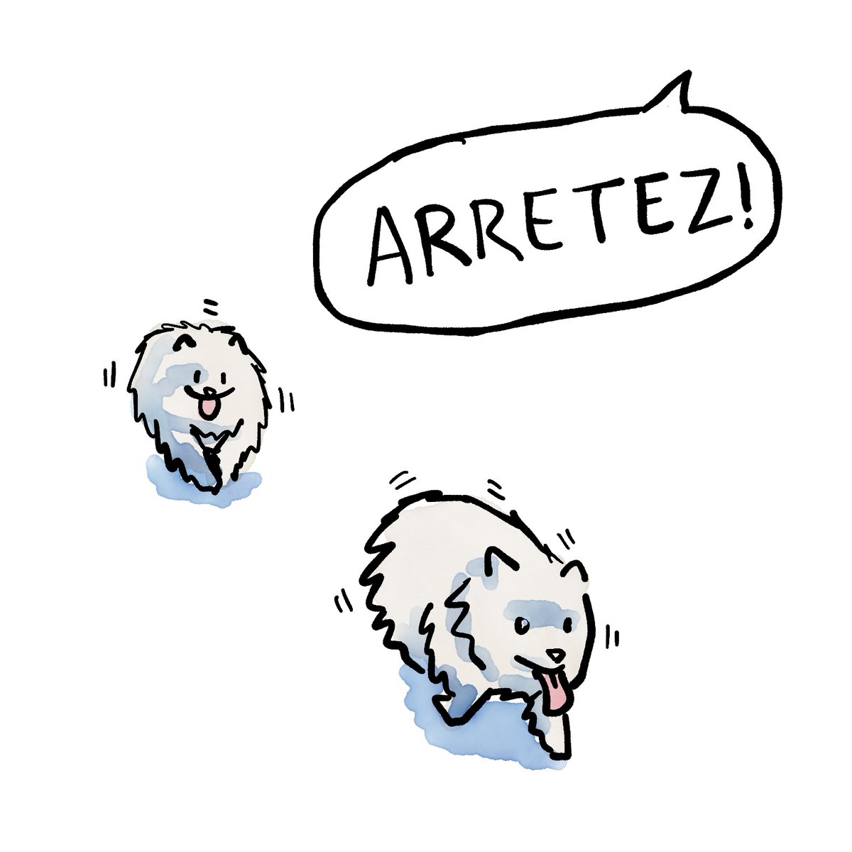 DOG WAT I SAW tweet media