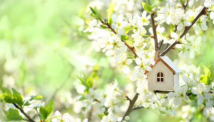 TheDataShack's tweet photo. Happy first day of Spring.
Decorate your soul with the beauty this day has to offer and embrace the change Spring will bring
https://t.co/SHSxPIjVZD https://t.co/XMoeNL3Ybz