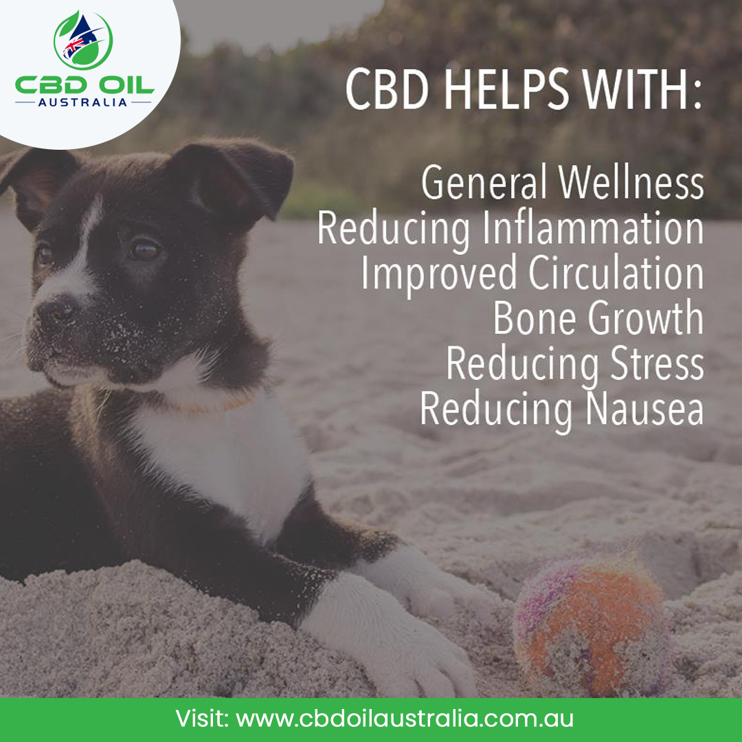 CBS can improve the quality of life by bringing general wellness and providing other great benefits. It can reduce inflammation and also improves the circulation of blood. It increases bone growth and also helps to reduce stress and nausea.
cbdoilaustralia.com.au
#cbd #cbdoil 🍀