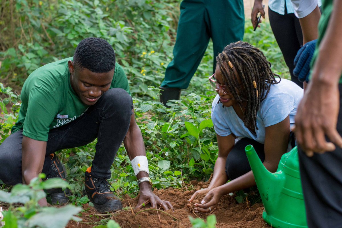 jonahkirabo's tweet photo. Thank you, @mnyomb1. Despite being sick, he mustered every last bit of strength to participate in our #pamperatree planting event yesterday. 

I'm grateful for you, bro, and I send you healing energy. https://t.co/FPhnf4G5eD