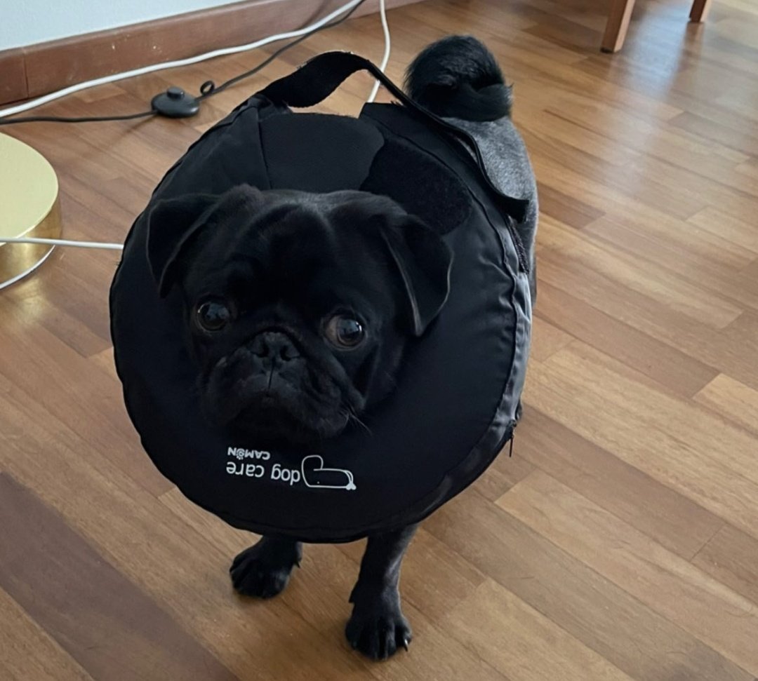 chinureactions's tweet photo. É só a minha mãe sair que essa palhaçada começa. Bom dia pra quem? 😤 https://t.co/NXTWSZ5y1S
