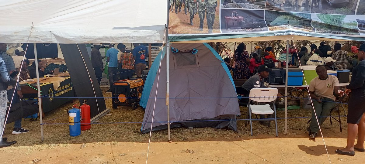 Zimparks tweet media