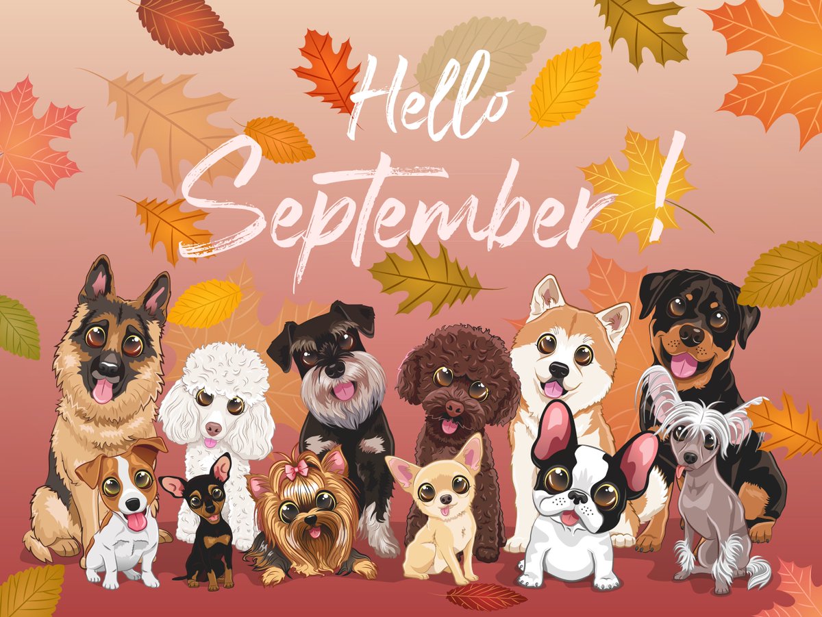GM ☺️We wish you a very successful month !✨🐶🍁
#NFTCommunity #NFTs #NFT