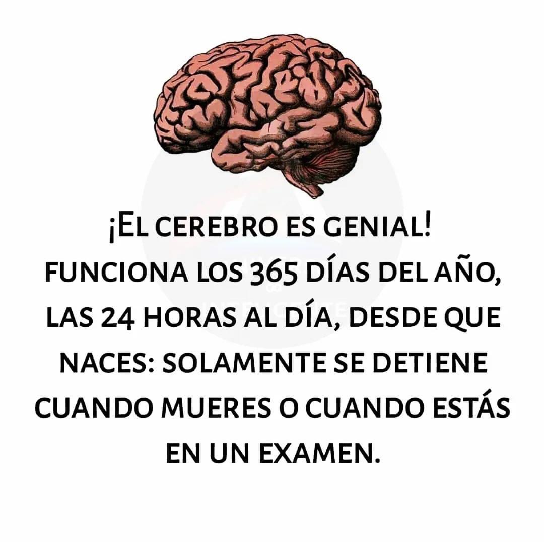EnsedeCiencia tweet picture