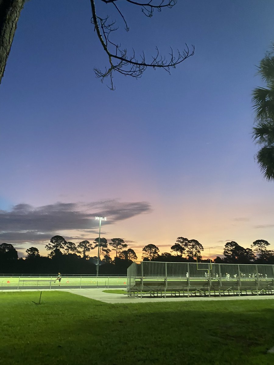 Beautiful morning under the lights at the Shark Tank