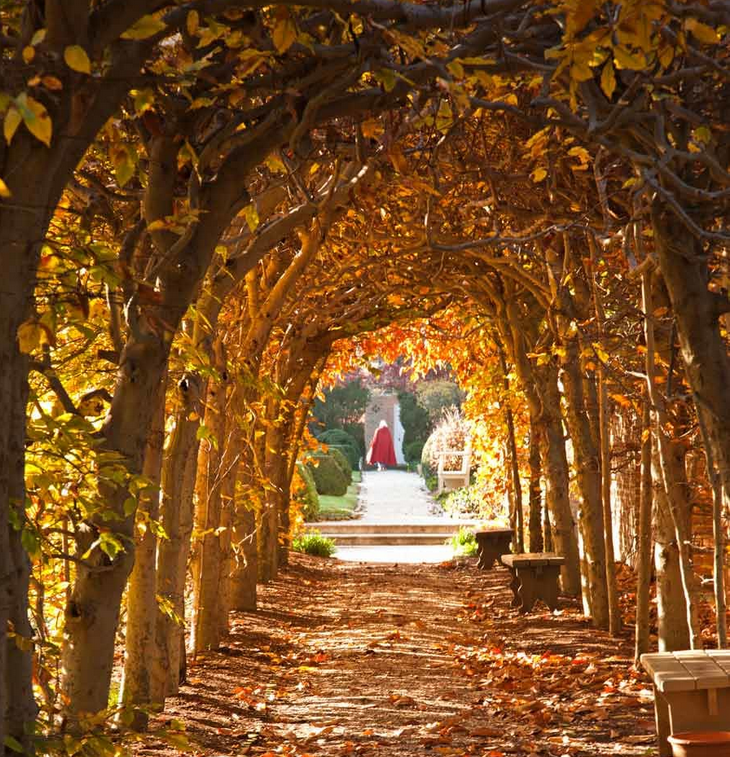 usarivercruises's tweet photo. Are you feeling ready for fall? We are ready to cruise into Autumn! Read more on our newsletter: https://t.co/IHPJ5xHyZf
#fallcruises #changeintheweather #timeforfall #iloveautumn #autumn #seasonchanges #cruisedestinations https://t.co/o2Tdj7MRXr
