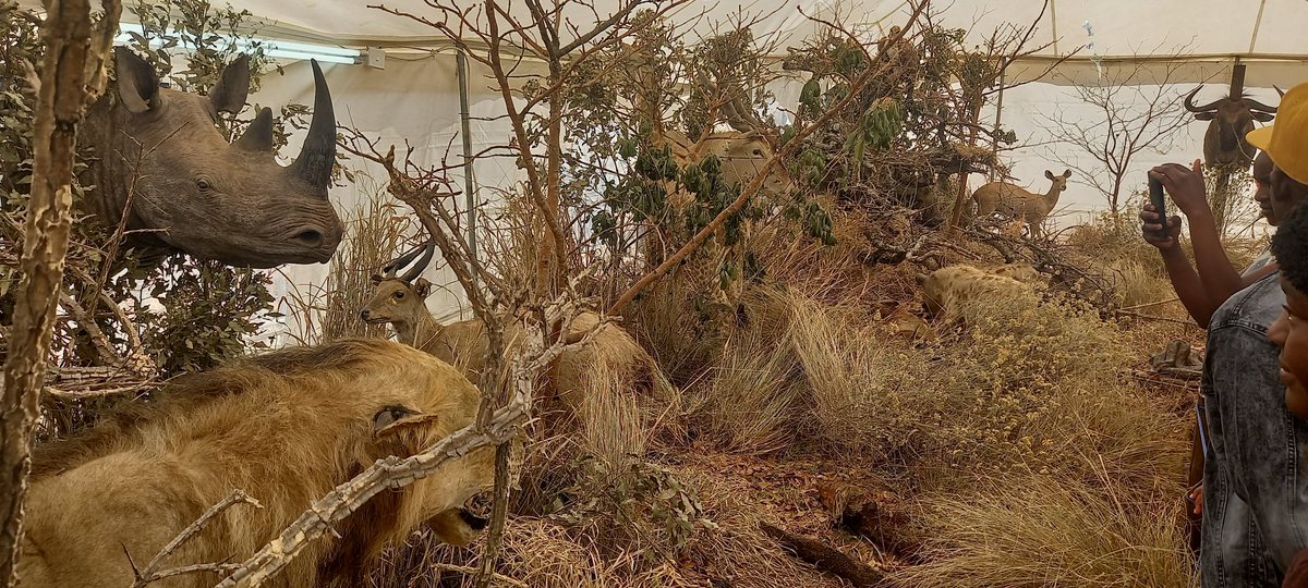 Zimparks tweet media