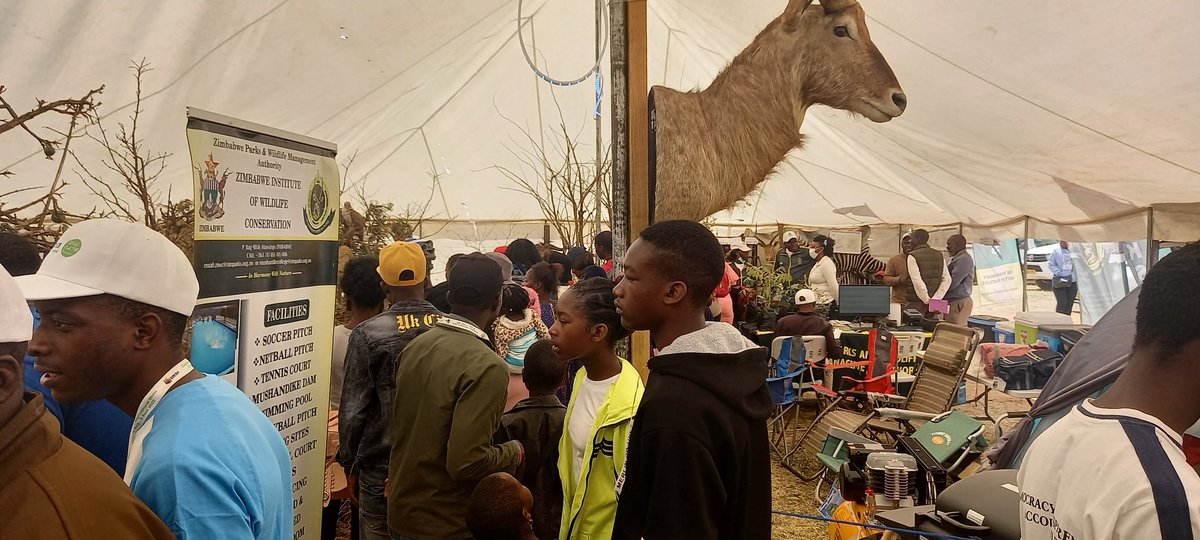 Zimparks tweet media