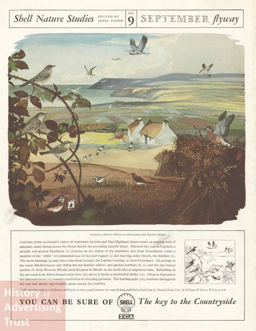 HatAds's tweet photo. Shell Nature Studies No.9 - September
#September1st #Shell #Advertising #Nature #Birds #Art #Archives @SHAC_Curator https://t.co/QXMSRfhQZF