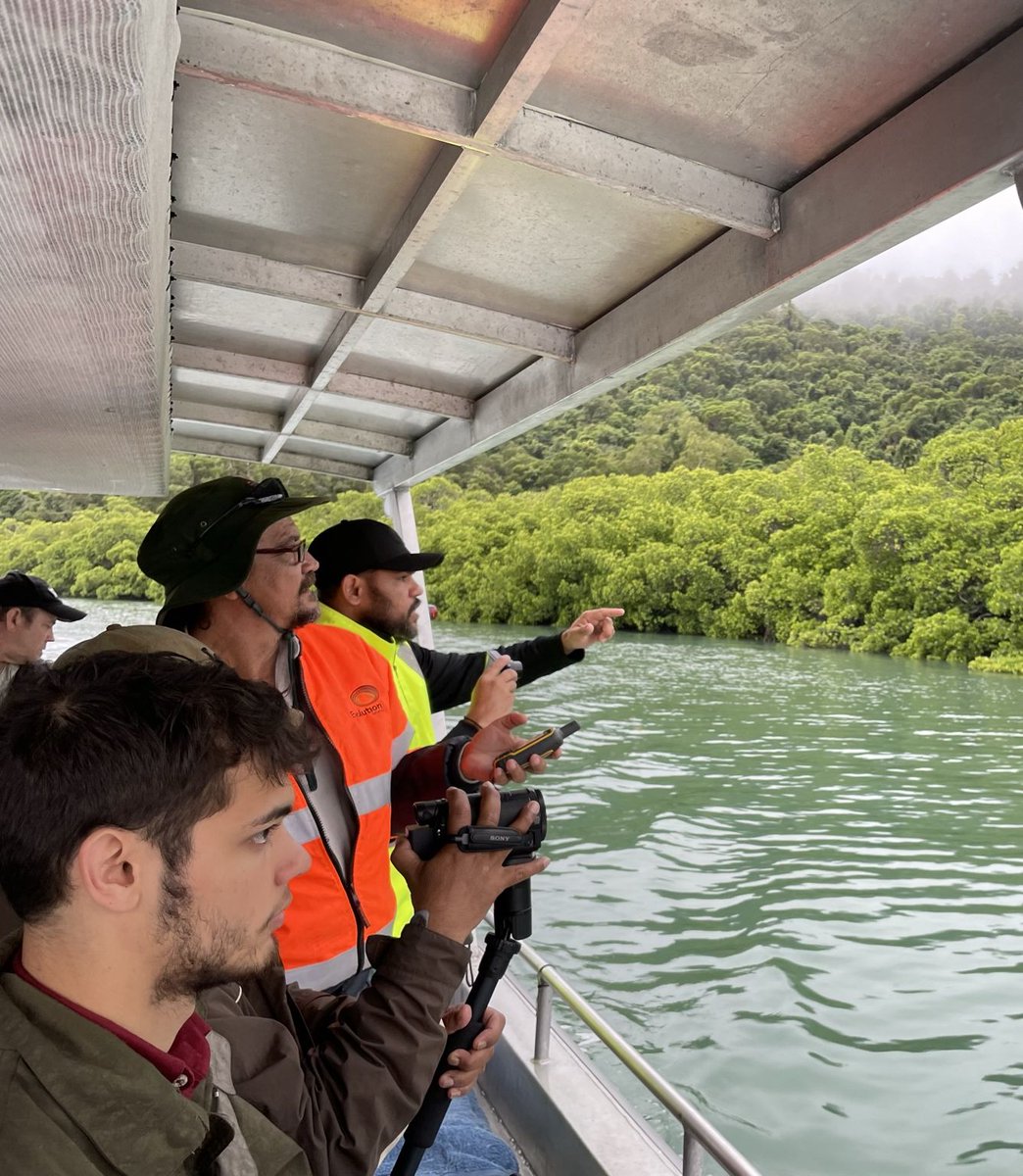 MangroveWatch tweet media