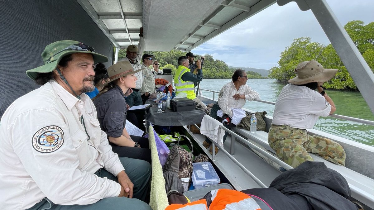 MangroveWatch tweet media