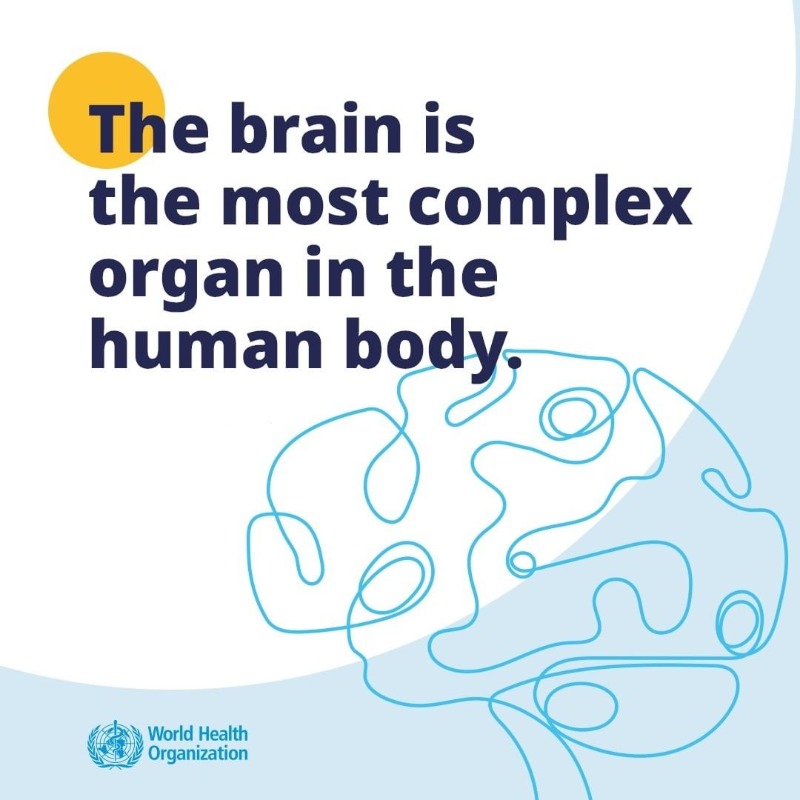 WHO's tweet photo. We only have one brain 🧠 - let's take good care of it:

🏃‍♂️ Keep physically active
🍌 Eat a healthy diet
😴 Get enough sleep
🧩 Stimulate your mind
💟 Look after your heart
⛑️ Wear a helmet

#BrainHealth
