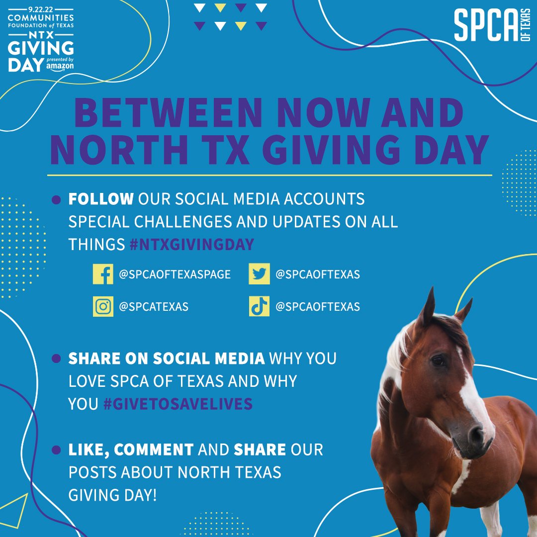 spcaoftexas's tweet photo. Early Giving for North Texas Giving Day is open! You can start supporting the SPCA of TX by donating now through Sep 21. Your gift helps our animals! See how you can contribute to saving lives below and click the link to donate!
https://t.co/OCLVTFRket
#NTXGivingDay #GivetoSave https://t.co/XnqgwxgrN1