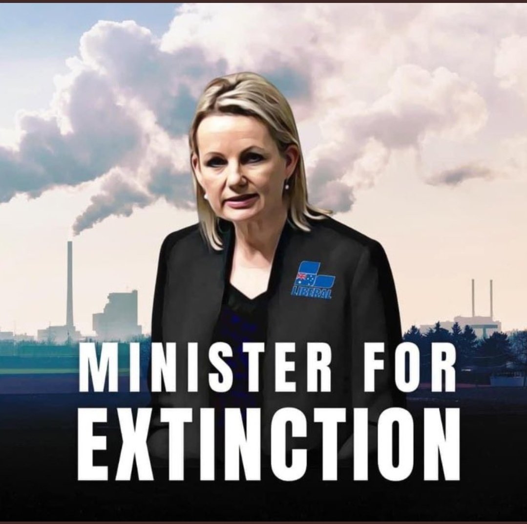 NOT a Canberra Bubbler 🌲🌏🌲 tweet media