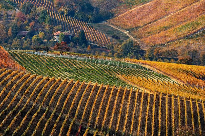 ItalyMagazine's tweet photo. We love fall travel when the temperatures are still pleasant enough, but summer crowds have usually subsided. Here are four destinations for the upcoming season you can reach by train catering to different tastes in travel: https://t.co/umLME495Ms https://t.co/gIgQTQItP1