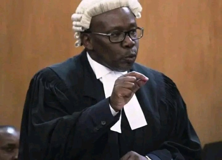 Kijanayaaa's tweet photo. They have both submitted their submissions. So far who is the best among the TWO?

Likes for ORENGO
RETWEETS for GITHU
#GETOVERIT #Orengo #Mathematics #GudinoOmar https://t.co/hNbsJjK1is