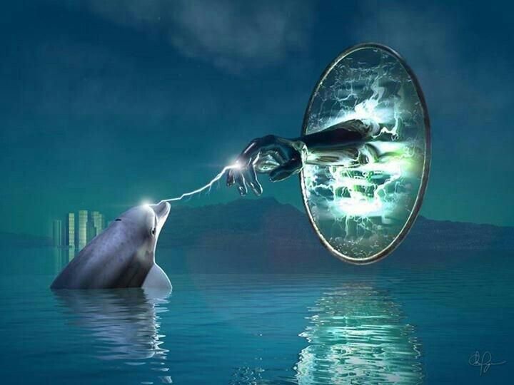 EscherZen's tweet image. #RegimeChange #SentientEvolution #SpeciesEvolution