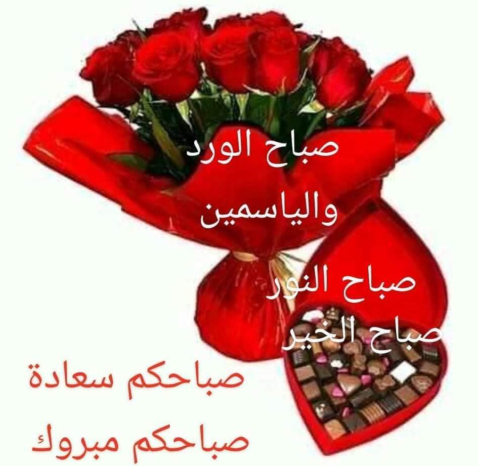 صباح الورد والياسمين