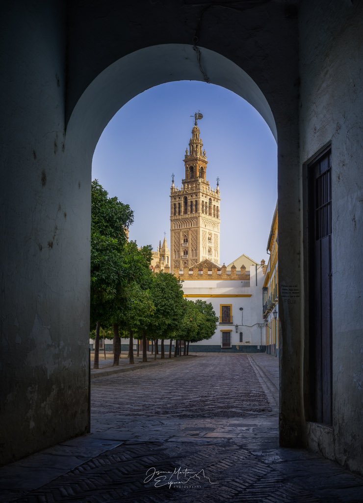 josemaitis's tweet photo. Framing Giralda. https://t.co/9EB8wyhp8L