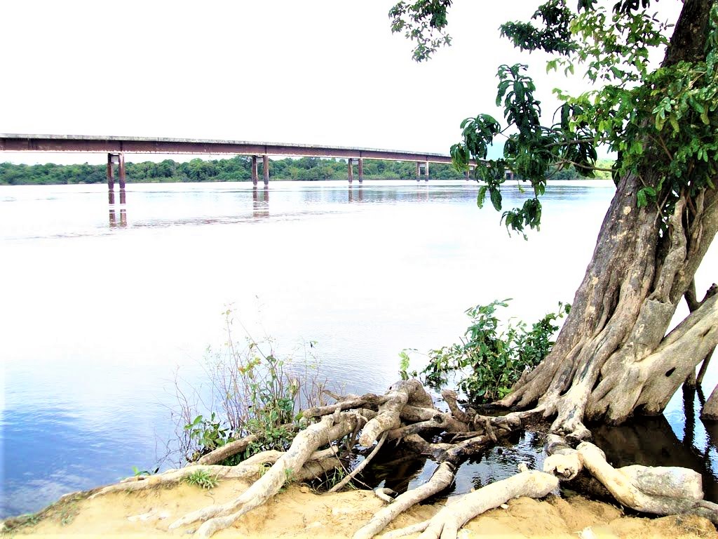 PUENTE SOBRE EL RÍO CAURA. #Bolivar. Construido entre 1987 y 1989, en las gestiones de los presidentes Jaime Lusinchi y Carlos Andrés Pérez II; obra de la Corporación Venezolana de Guayana (#CVG) cuando la presidía Leopoldo Sucre Figarella. Longitud: 686 mts. #ObrasDeLaDemocracia