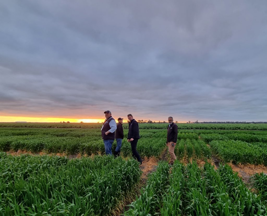 A week well spent at the 2022 Wheat Breeding Assembly! With most of the LPB staff in attendance, it was great to be able to come together in Narrabri to learn, experience and celebrate the industry. @WheatBreedingAU #WBA2022