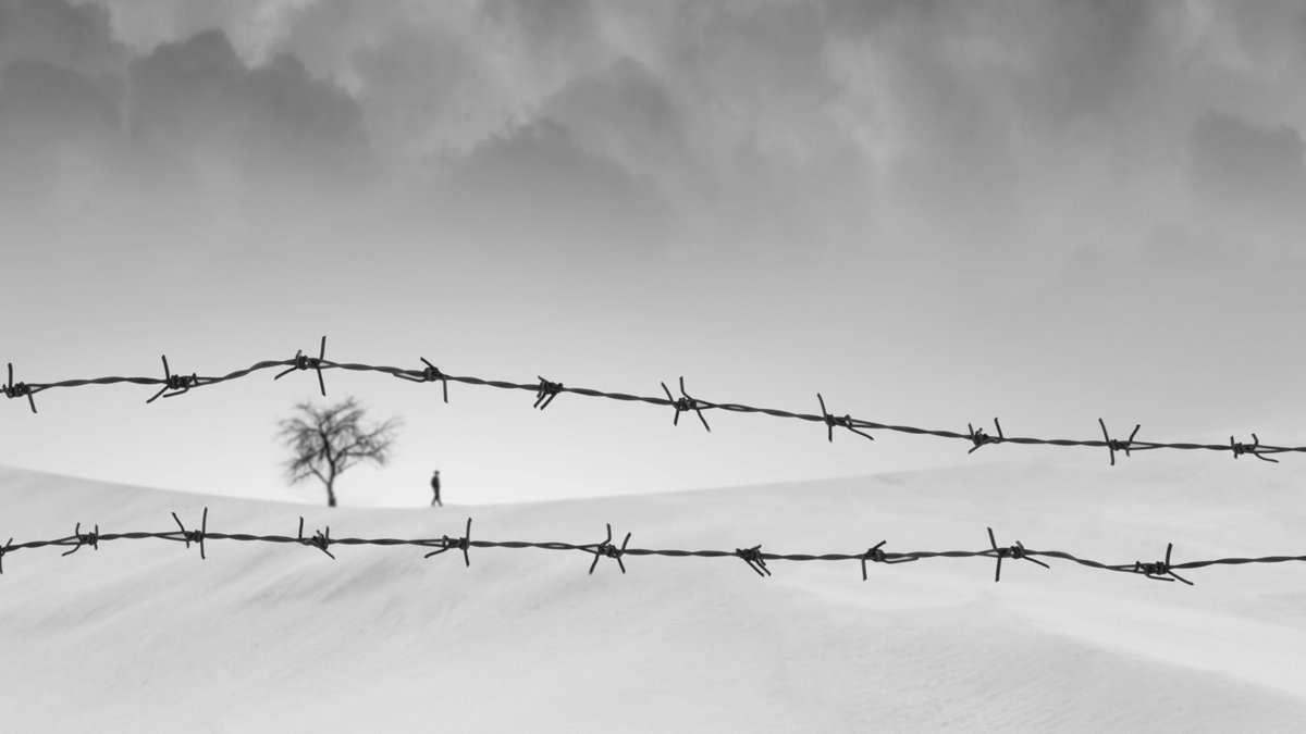 100ASAOfficial's tweet photo. Fence - By Ali Zolghadri
Published on the Inspiration Gallery @ https://t.co/jteuZDDrYF
#Wirefencing #White #Barbedwire #Fence #Wire
Let's spread beauty, Please RT #100ASAOfficial https://t.co/9TZAGTJWgP