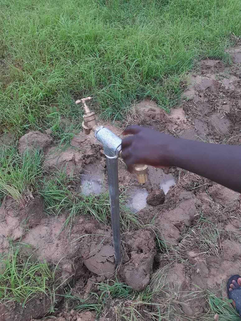 WomenInLiberat1's tweet photo. We are out to monitor the progress of our community garden in #Sintet.
Solar Panels are up
Taps are fixed
Water is running as confirmed by the women in the community.
#TranformativeJustice
#PostTRRC
#CommunityReparations
#GenderJustice
🙏@ATJLF_ https://t.co/nlxuoNd3Mz